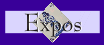 exposies